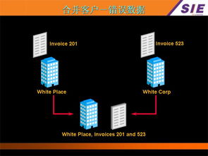 Oracle ERP銷售管理系統(tǒng)模塊標(biāo)準(zhǔn)培訓(xùn)文檔